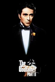 เดอะ ก็อดฟาเธอร์ ภาค 2 1974The Godfather II (1974)